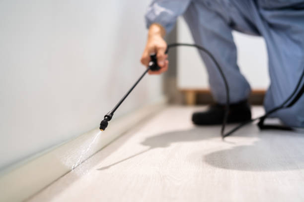 Licensed Fumigation Services service in Irvington, NY - Nex Pest Control