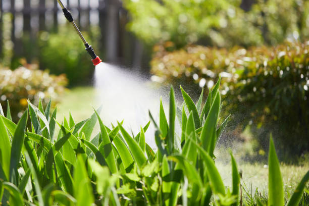 24/7 Emergency Fumigation Services experts in Irvington, NY