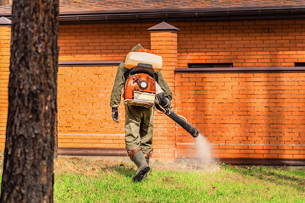 Trusted Fumigation Services service in Irvington, NY - Nex Pest Control